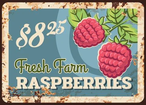 Fresh raspberry rusty metal plate, vector tin sign イラスト素材
