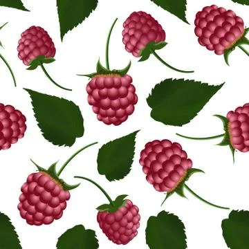 Fresh raspberry seamless pattern Stock Illustration