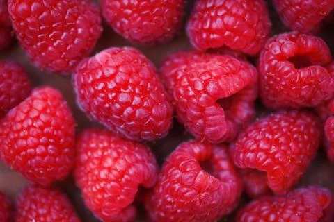 Fresh raspberry texture / Close up red raspberries fruit background top view Stock Photos