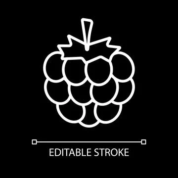 Fresh raspberry white linear icon for dark theme 스톡 일러스트