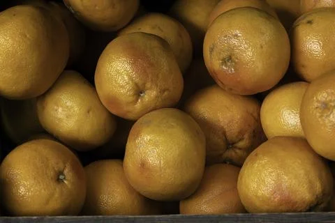 Fresh raw blood oranges on a fruit stall at a market Stock Photos