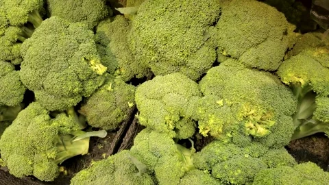 Fresh raw broccoli crowns in grocery store display close up Stock Footage 341400779