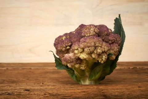 Fresh raw broccoli on a kitchen bench. Stock Photos