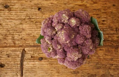 Fresh raw broccoli on a kitchen bench. Stock Photos