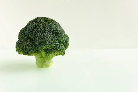 Fresh raw broccoli on a light background with copy space. Stock Photos