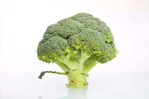 Fresh raw broccoli Stock Photos