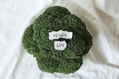 Fresh raw broccoli on white background with copy space. Mock-up. Veggie life. Fotos Stock