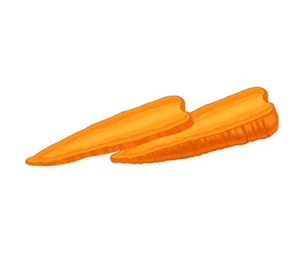 Fresh Raw Carrot Vertically Cut Into Two Halves Vector Elements Stock Illustration