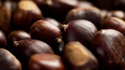 Fresh raw chestnut nuts with brown nutshell Stock Footage 255981611