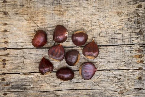 Fresh raw chestnuts Stock Photos