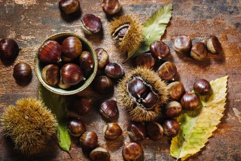 Fresh raw chestnuts Stock Photos