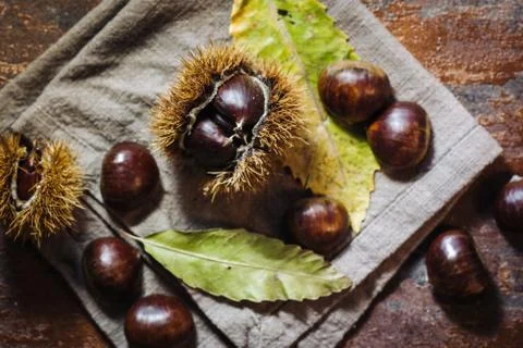 Fresh raw chestnuts Stockfoto's