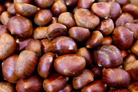 Fresh raw chestnuts Foto stock