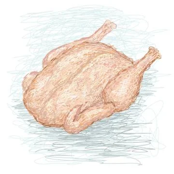 Fresh raw chicken Stock Illustration