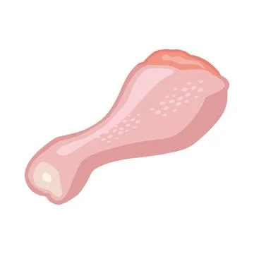 Fresh raw chicken leg. Vector color vector illustration. Icon isolated Stock Illustration