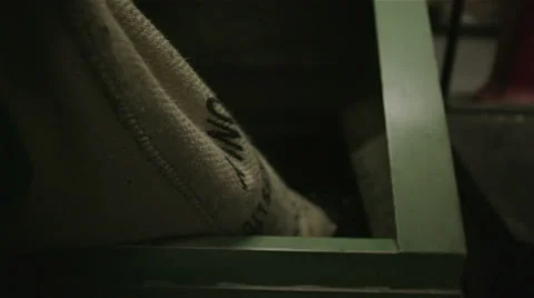 Fresh raw coffee beans being poured into a machine to be processed Stock Footage 39497364