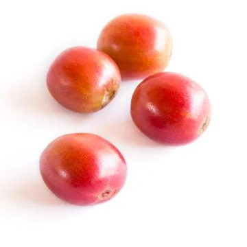Fresh raw coffee beans Foto stock