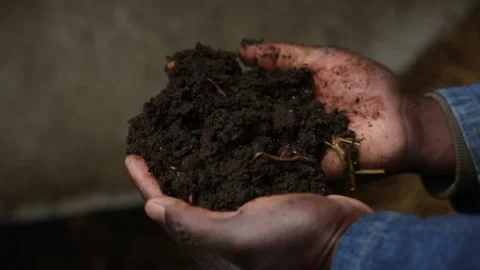 Fresh Raw Compost with Earthworms Stock Footage 162454900