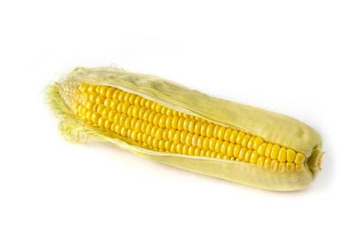 Fresh raw corn cob on the clean white background Stock Photos