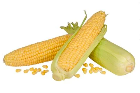Fresh raw corn cobs Stock Photos