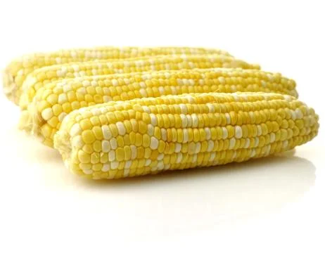 Fresh raw corn Stock-Fotos