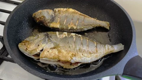 Fresh raw dorado fish or sea bream with in a dark frying pan. Stock Footage 213530765