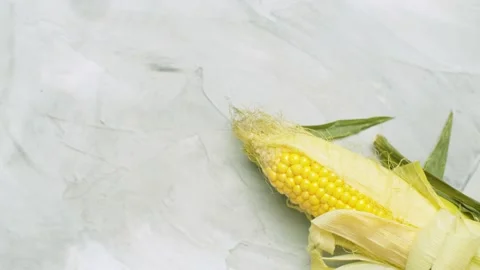 Fresh raw ear of corn Stock Footage 140345246