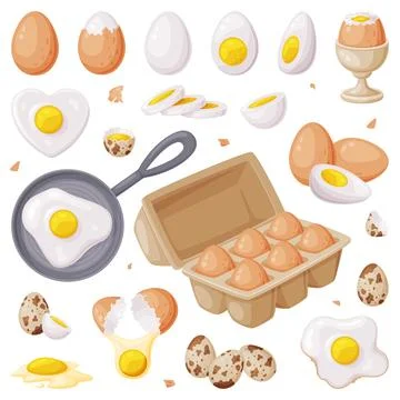 Fresh Raw Eggs and Cooked Boiled with Yellow Yolk Vector Set Stock Illustration