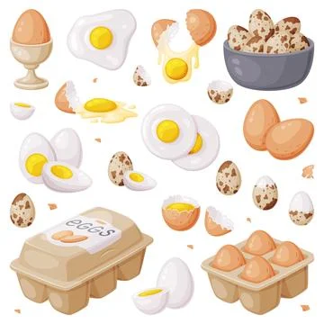Fresh Raw Eggs and Cooked Boiled with Yellow Yolk Vector Set Stock Illustration