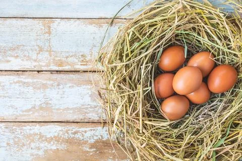 Fresh raw eggs from the farm 스톡 사진