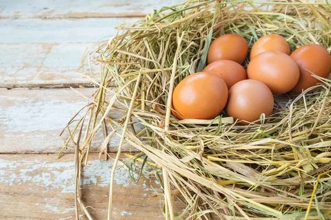 Fresh raw eggs from the farm Foto stock