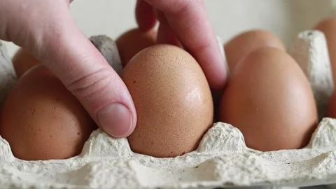 Fresh raw eggs in a paper egg container Stock Footage 233602051