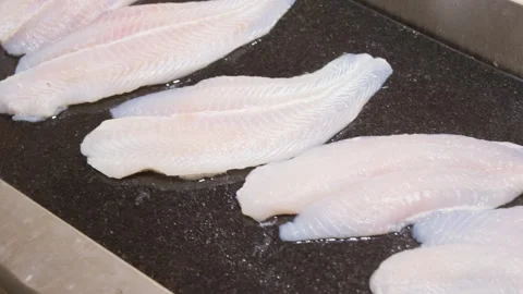 Fresh raw fish cod fillet on counter close-up Stock Footage 282269842