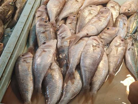 Fresh Raw Fish Display at Wet Market with Natural Texture and Light Reflecti Fotos Stock