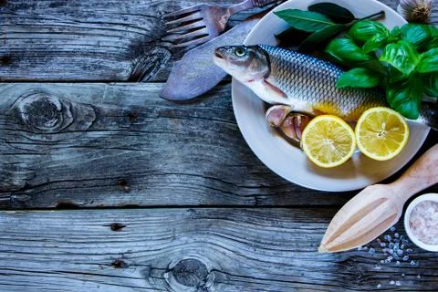 Fresh raw fish Stock Photos