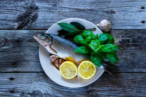 Fresh raw fish Stock Photos
