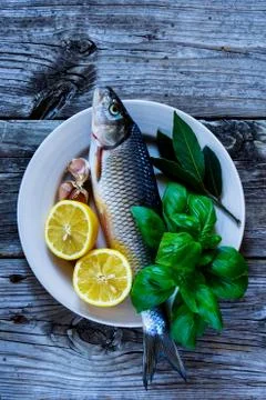 Fresh raw fish Stock Photos