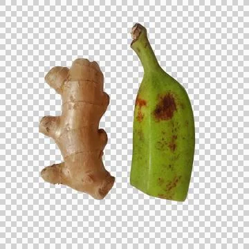 Fresh raw ginger root and a single small green banana fruit on a simple surfa Фото