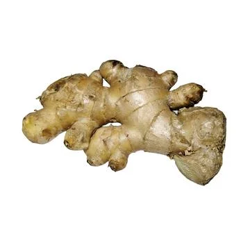 Fresh raw ginger root, white background Stockfoto's