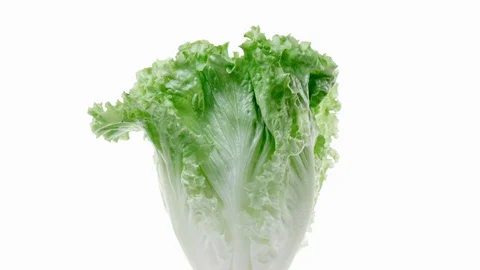 Fresh raw green lettuce rotating over white background Stock Footage 119613652
