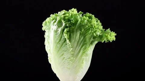 Fresh raw green lettuce rotating over black background Video stock 119615652
