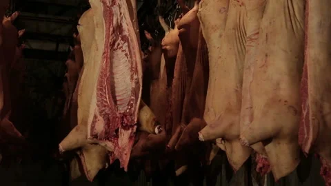 Fresh raw meat in the refrigerator Stock Footage 89504140