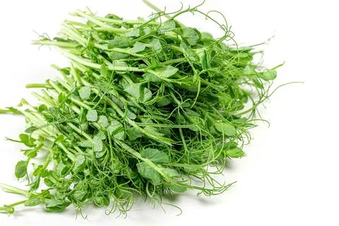 Fresh raw micro greens pea on white background Stock Photos