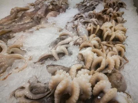 Fresh raw octopus on ice in seafood market. Seafood restaurant, cafe display. Stock Photos