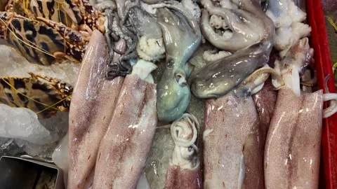 Fresh Raw Octopus, Squid and Seafood Display at Thai Fish Market in 4K 스톡 동영상 337778579