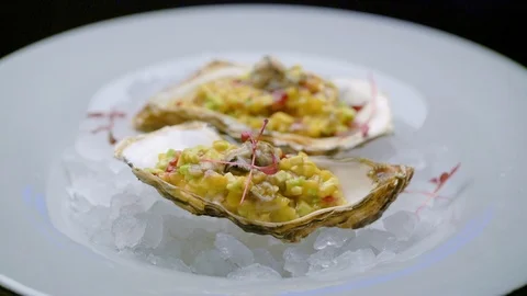 Fresh raw open oysters on ice Stock Footage 102711298
