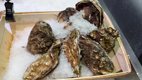 Fresh Raw Oysters on Bed of Crushed Ice in Wooden Basket Stock Footage 345932087