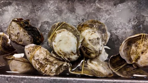 Fresh Raw Oysters Displayed on Ice at Seafood Market in Thailand Video stock 337649408