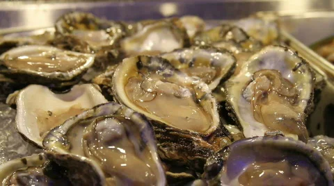 Fresh Raw Oysters Stock Footage 830281