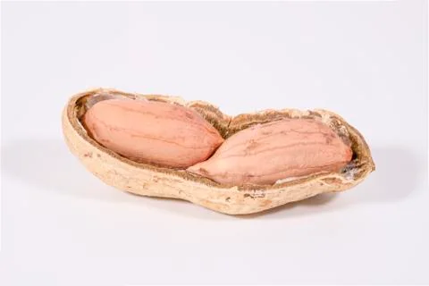 Fresh raw peanuts in shell, close-up photo of peanut, isolated on white Stock Photos